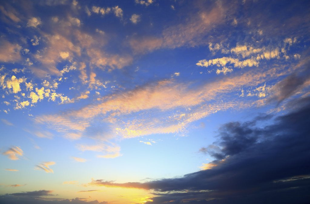 Detail of Sandy Lane beach at sunset by Anonymous