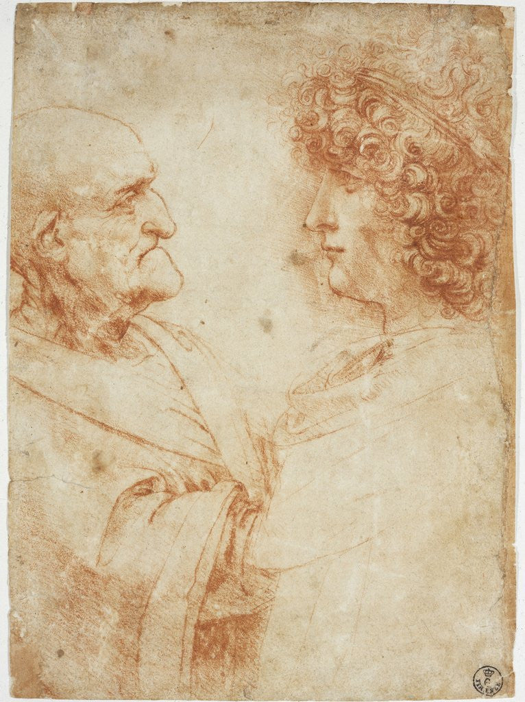 Detail of Drawing of an Old Man and a Youth by Leonardo da Vinci