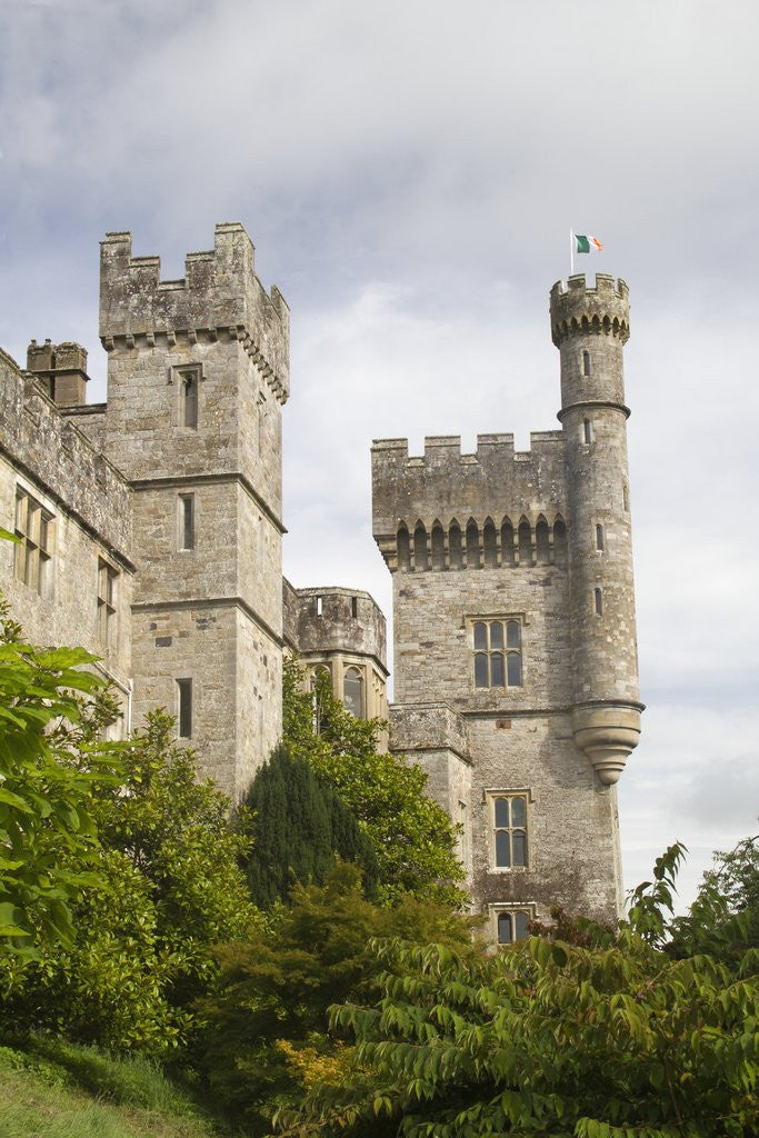 Detail of Lismore Castle by Anonymous
