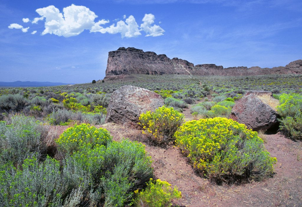 Detail of Fort Rock, Oregon by Anonymous