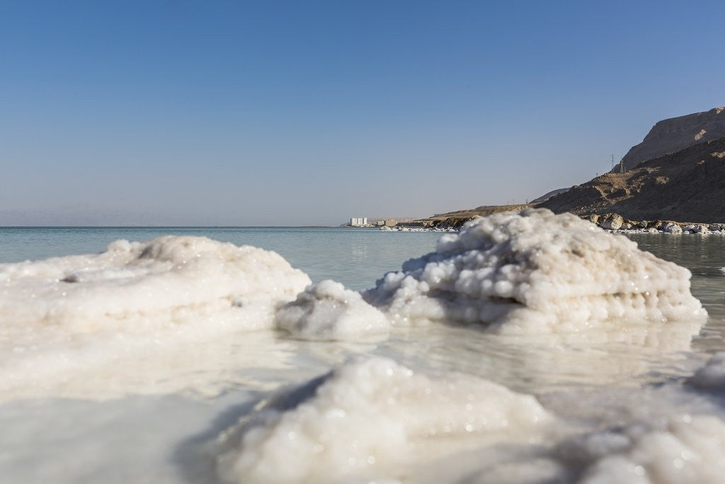 Detail of Dead Sea - Salt deposits by Anonymous
