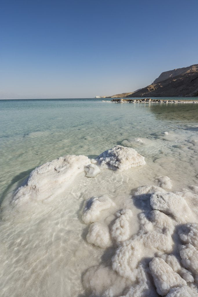 Detail of Dead Sea - Salt deposits by Anonymous