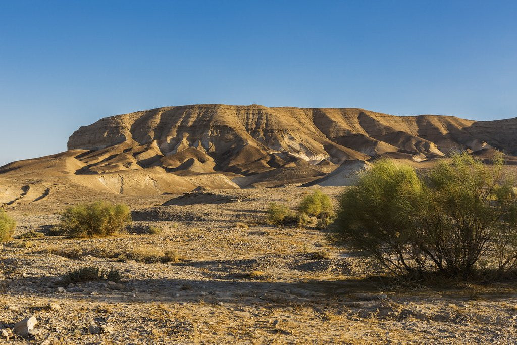 Detail of Negev Desert, landscape by Anonymous
