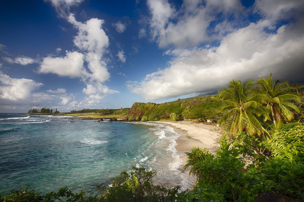 Detail of Cove on the Northern Beach near Hana by Anonymous