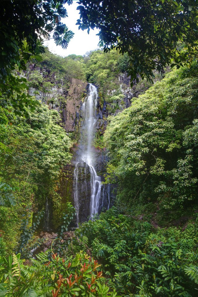 Detail of Waterfall along the Hana Highway by Anonymous