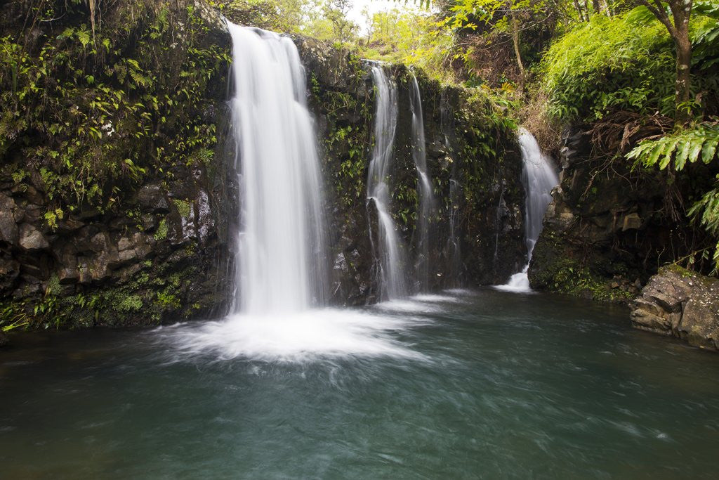 Detail of Waterfall along the Hana Highway by Anonymous