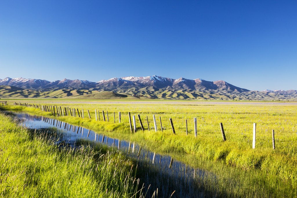 Detail of Creek and fence line in the Camas Prairie by Anonymous