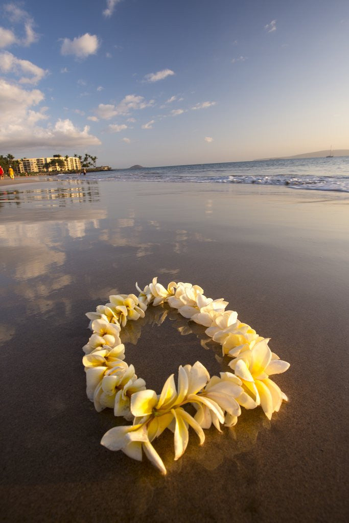 Detail of Lie on Kihei Beach with Reflections in Sand by Anonymous