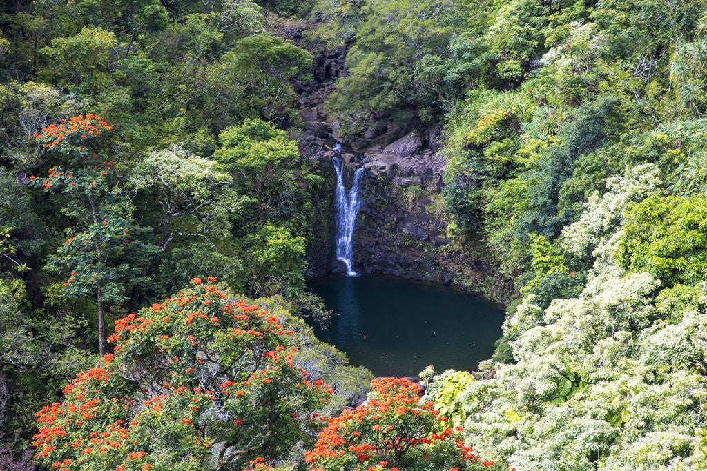 Detail of Waterfall along the Hana Highway by Anonymous