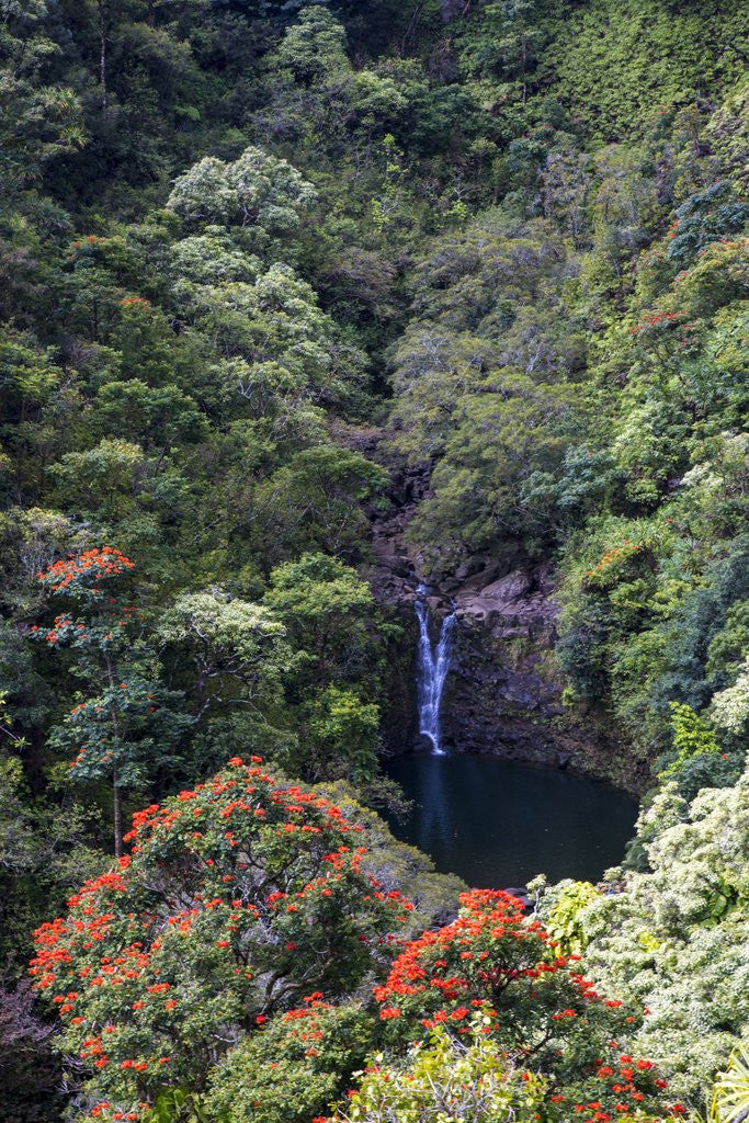 Detail of Waterfall along the Hana Highway by Anonymous