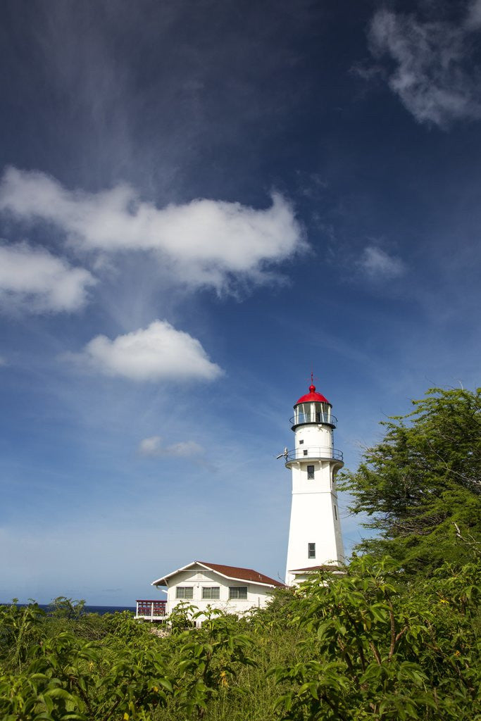 Detail of Morning light on Diamond Head Lighthouse with Puffy Clouds by Anonymous