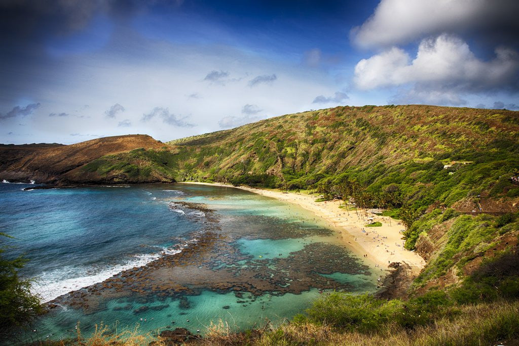 Detail of View of Hanauma Bay with Travelers enjoying the beach by Anonymous
