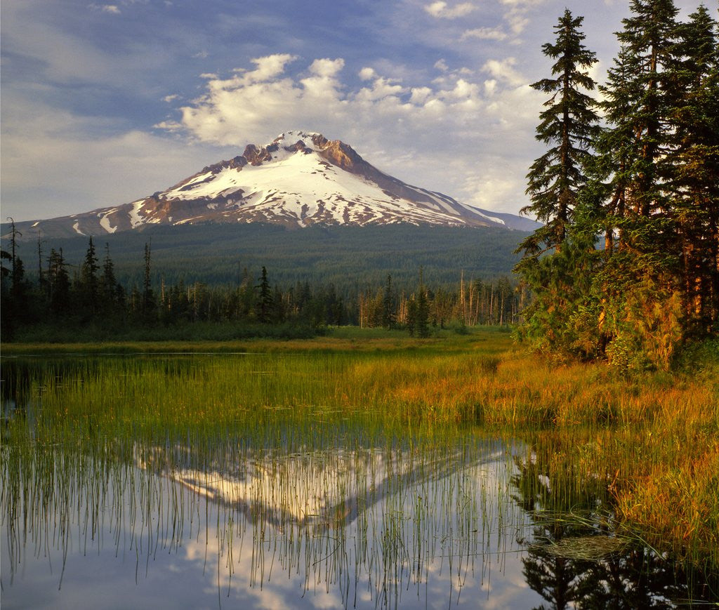 Detail of Mt. Hood reflection by Corbis