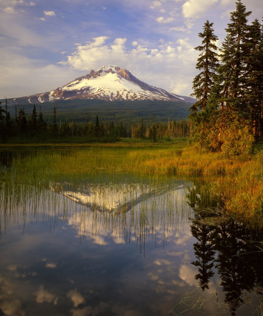 Detail of Mt. Hood reflection by Anonymous