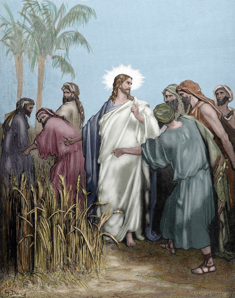Detail of The apostles gathered ears in the day of rest. Engraving. Colored. by Anonymous