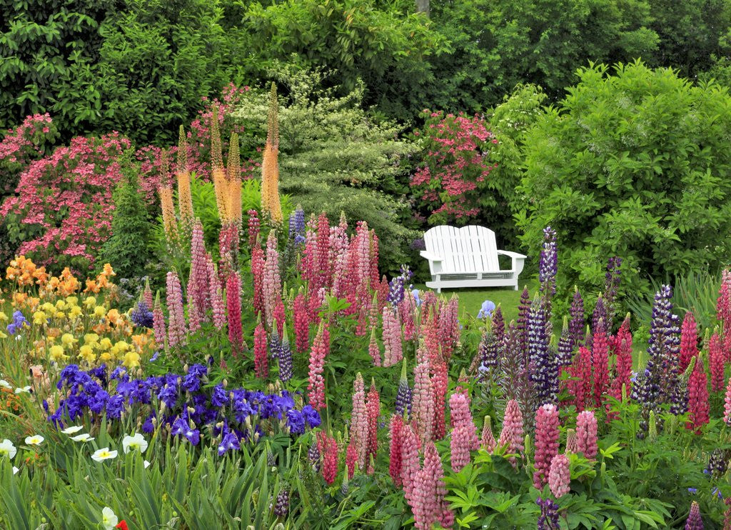 Detail of White chair in flower garden by Anonymous