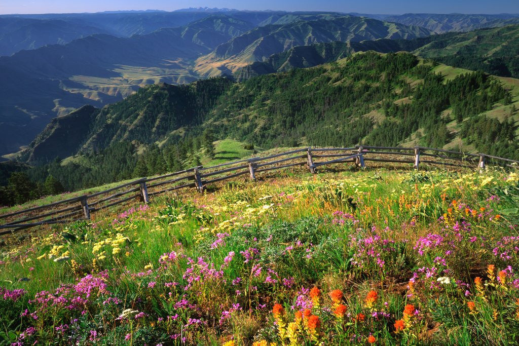 Detail of Buckhorn Viewpoint & Imnaha River Valley by Anonymous