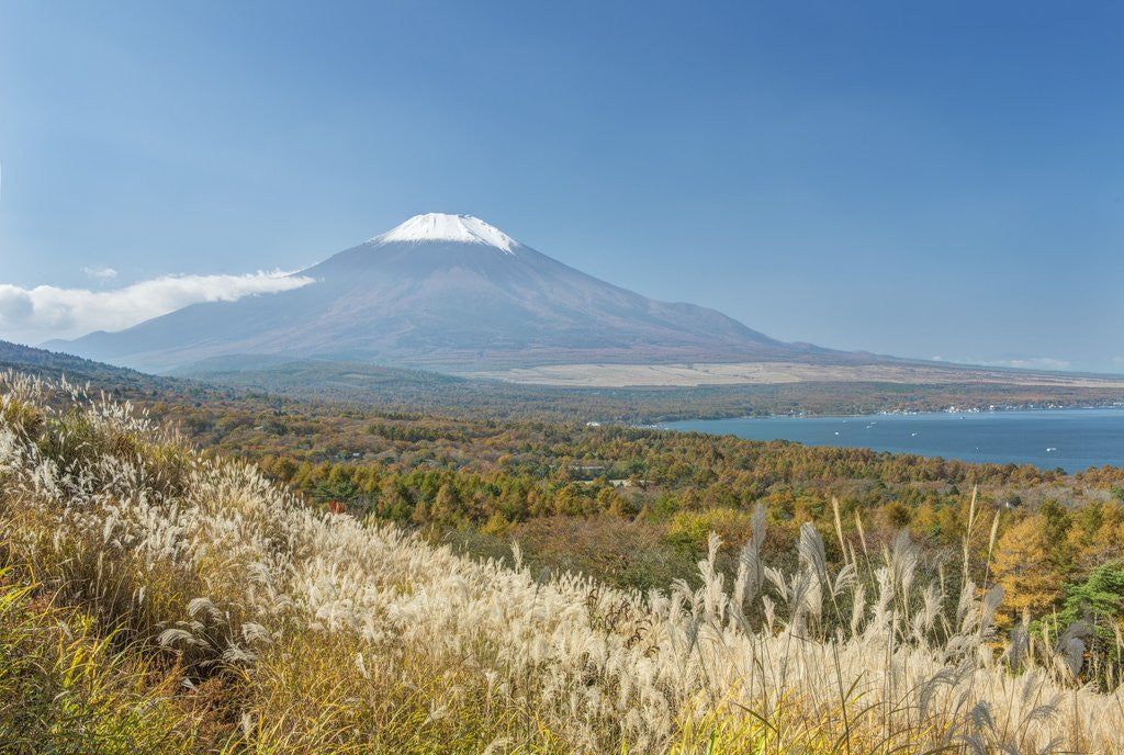 Detail of Lake Yamanaka & Mt. Fuji by Anonymous