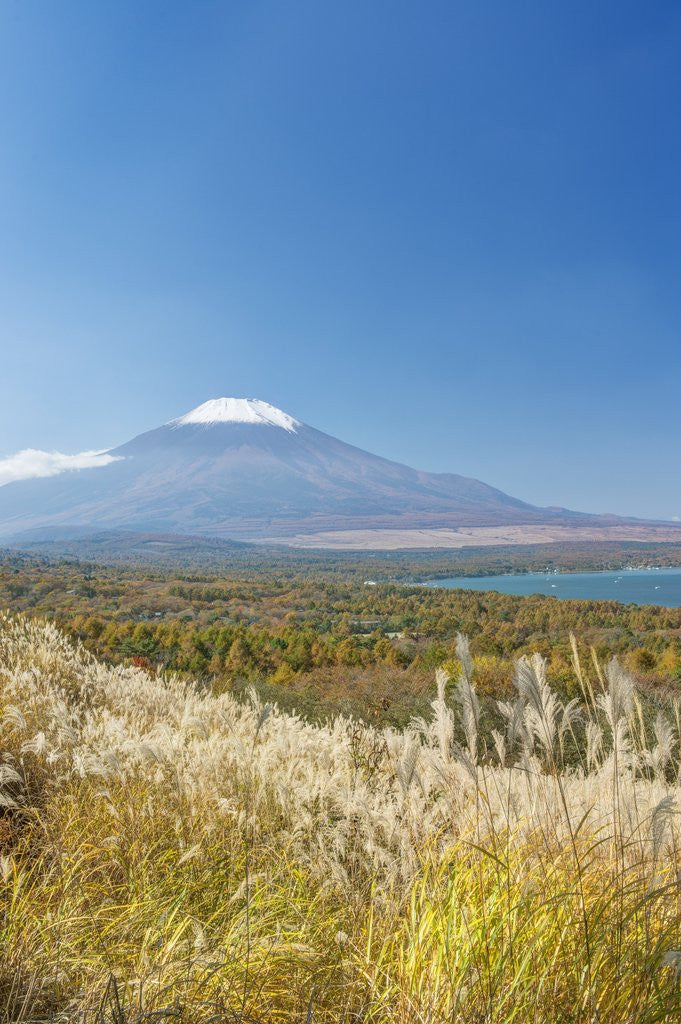 Detail of Lake Yamanaka & Mt. Fuji by Anonymous