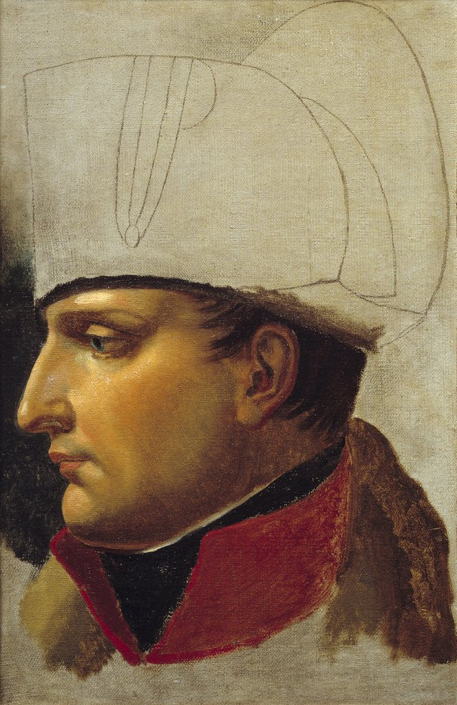 Detail of Portrait of Napoleon Bonaparte by Anne-Louis Girodet de Roucy-Trioson