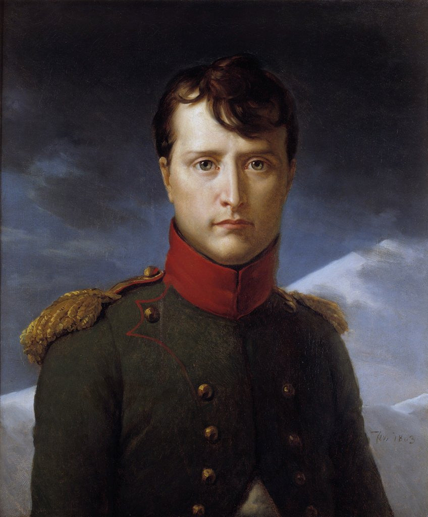 Detail of Portrait of Napoleon Bonaparte as First Consul by Francois Gerard