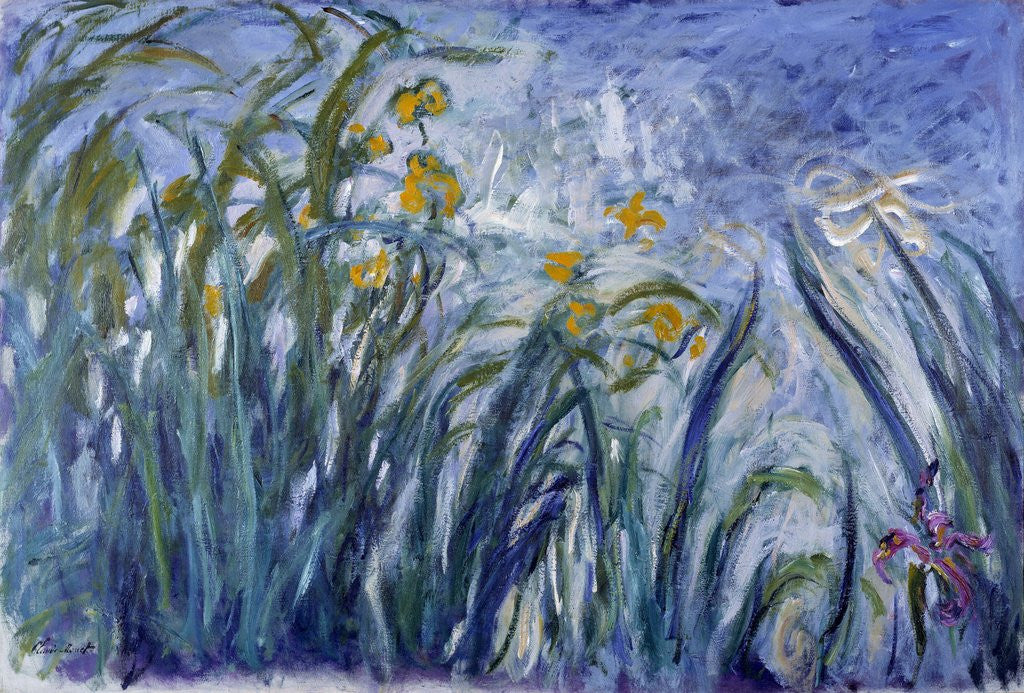 Detail of Iris by Claude Monet