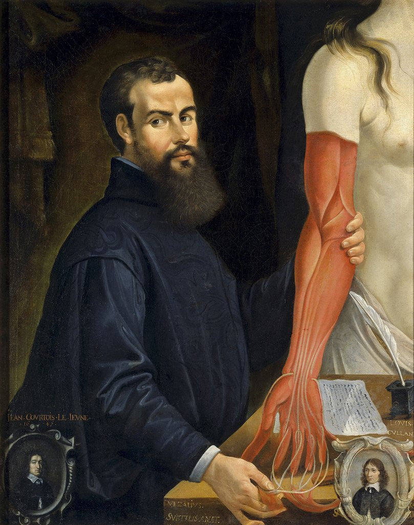 Detail of Andreas Vesalius Dissecting the Muscles of Cadaver by Pierre Poncet