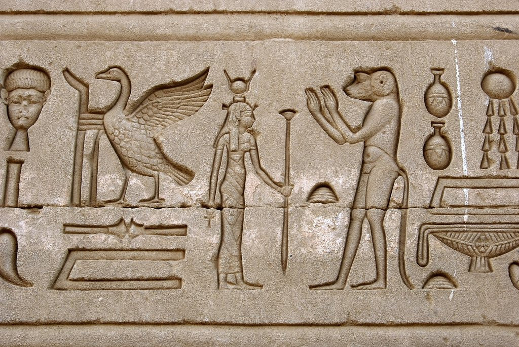 Detail of Ancient Egyptian hieroglyphs carved on the wall of Hathor Temple by Anonymous