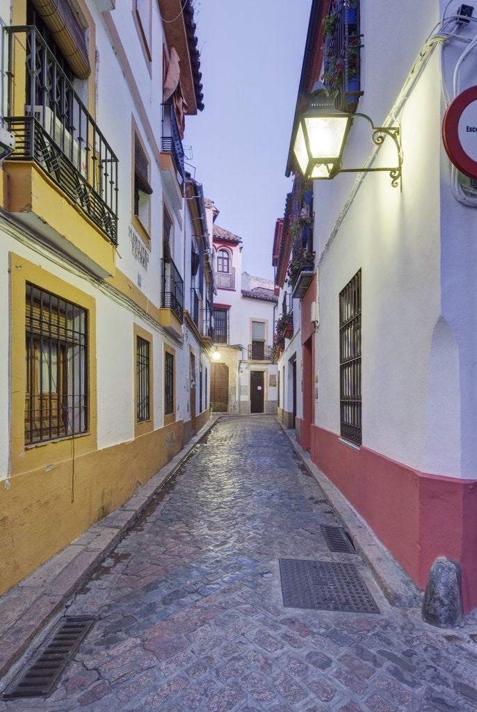 Detail of Medieval Alleyway by Anonymous