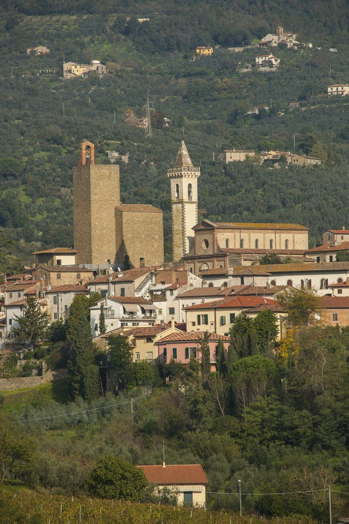 Detail of Vinci is the birthplace of Leonardo da Vinci by Anonymous
