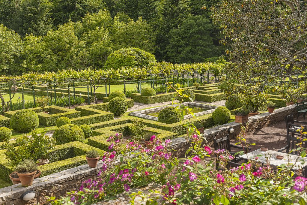 Detail of Badia a Coltibuono by Anonymous