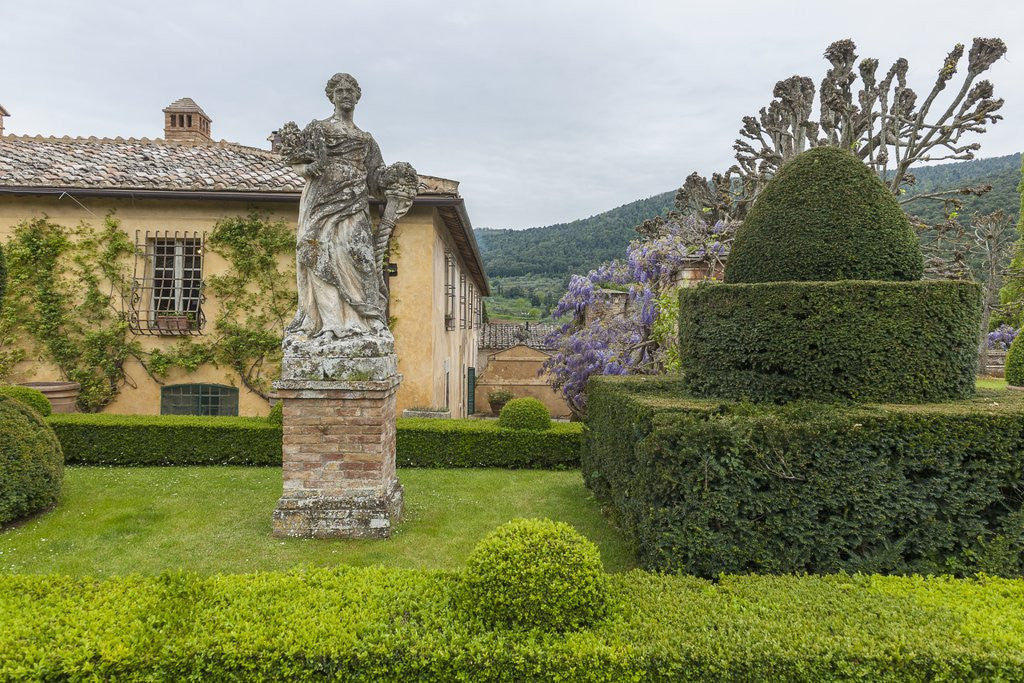 Detail of The garden of Villa Cetinale by Anonymous
