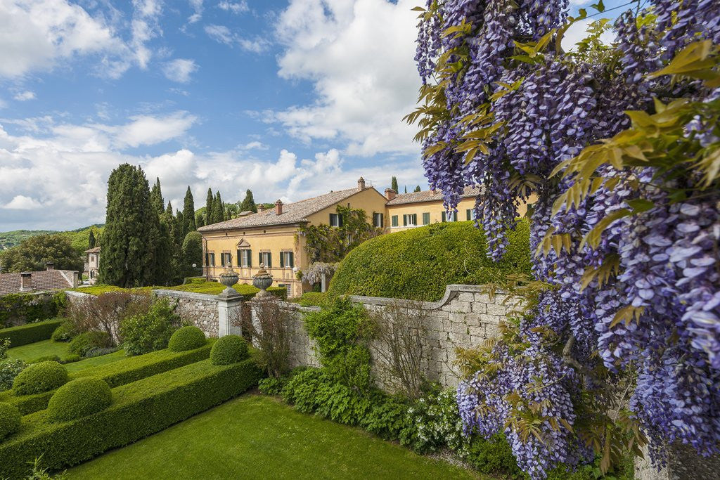 Detail of Villa La Foce Garden by Anonymous