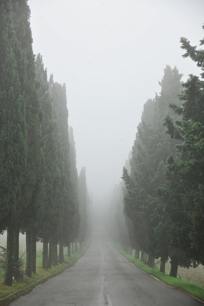Detail of Road to Panna by Anonymous