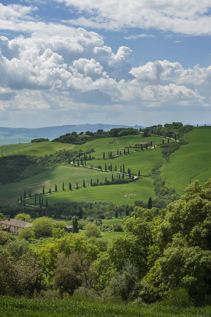 Detail of Val d'Orcia View from Villa La Foce by Anonymous