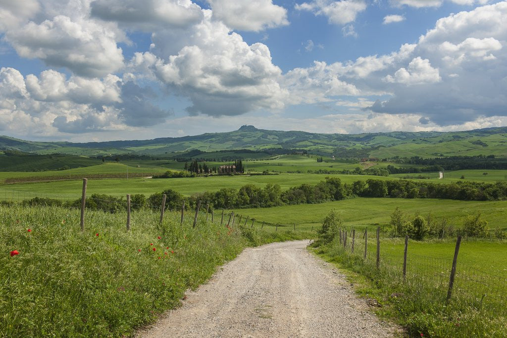 Detail of Val d'Orcia Landscape by Anonymous