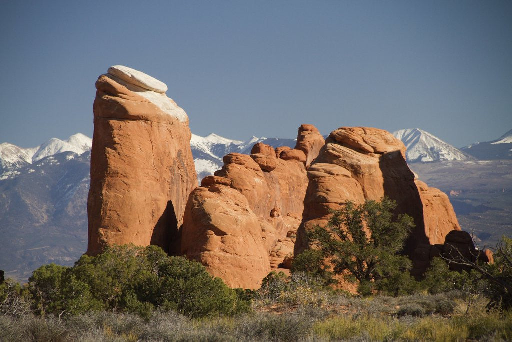 Detail of Devil's Garen and the La Sal Mountains by Anonymous