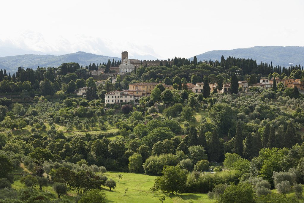 Detail of View of San Miniato from Forte Belvedere by Anonymous