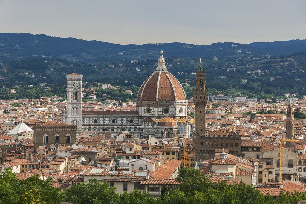 Detail of View of Santa Maria del Fiore Cathedral and Palazzo Vecchio from Forte Belvedere by Corbis