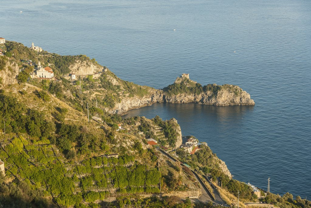 Detail of The coast near Conca dei Marini by Anonymous
