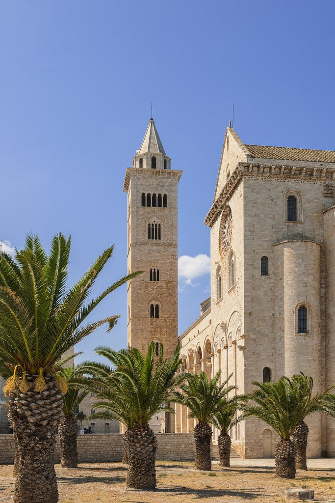 Detail of View of the Cathedral by Anonymous
