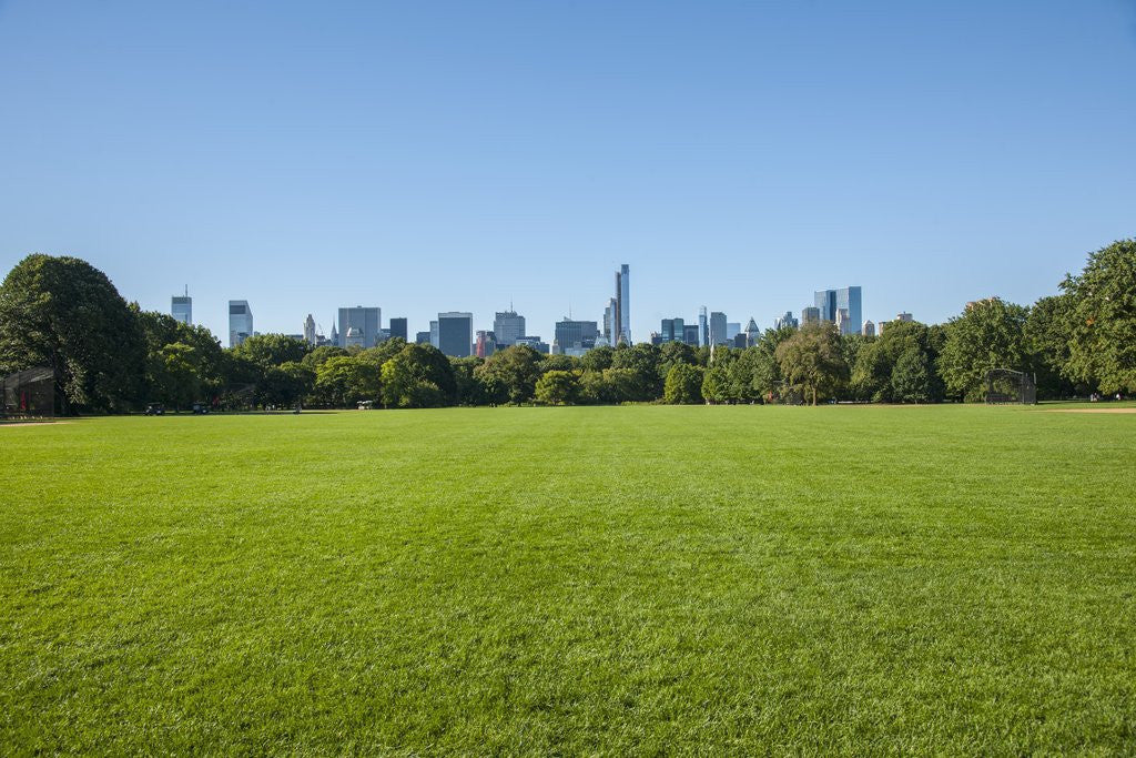 Detail of Central Park by Anonymous