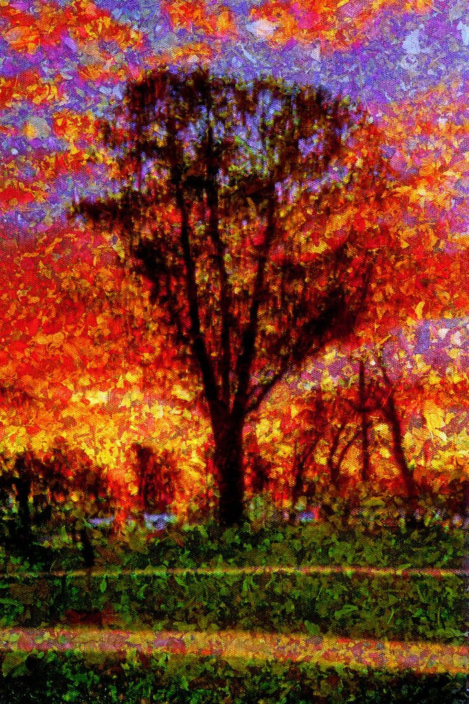 Detail of Tree by Anonymous