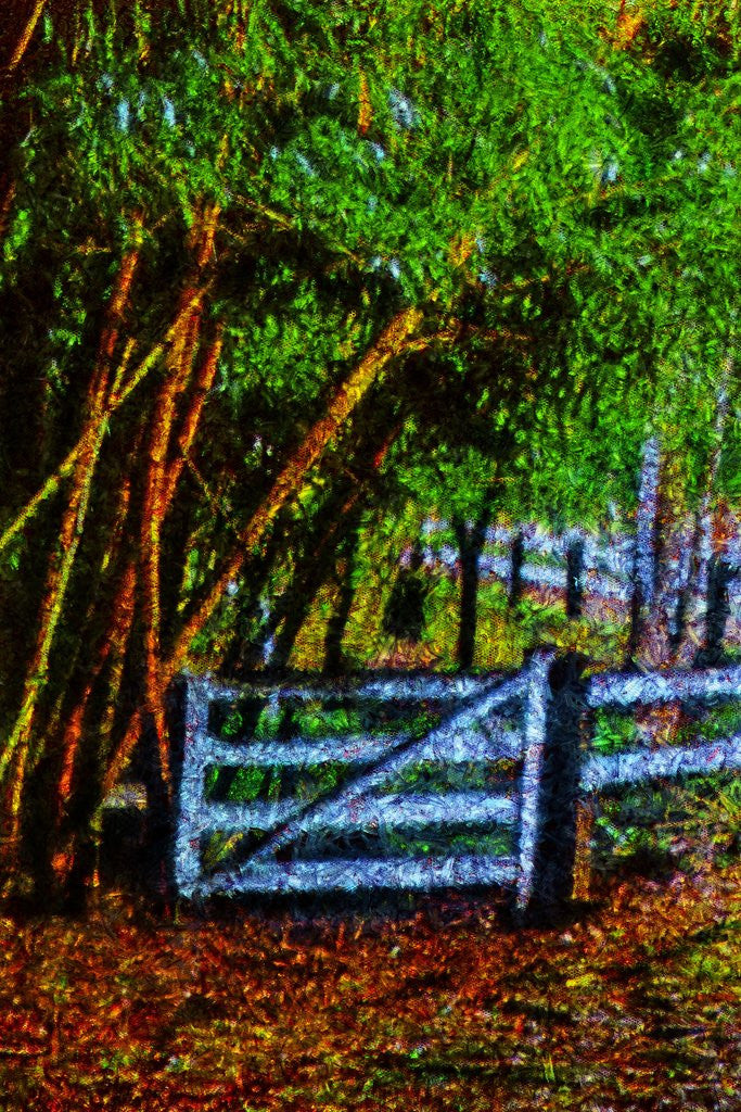 Detail of Gate by Anonymous