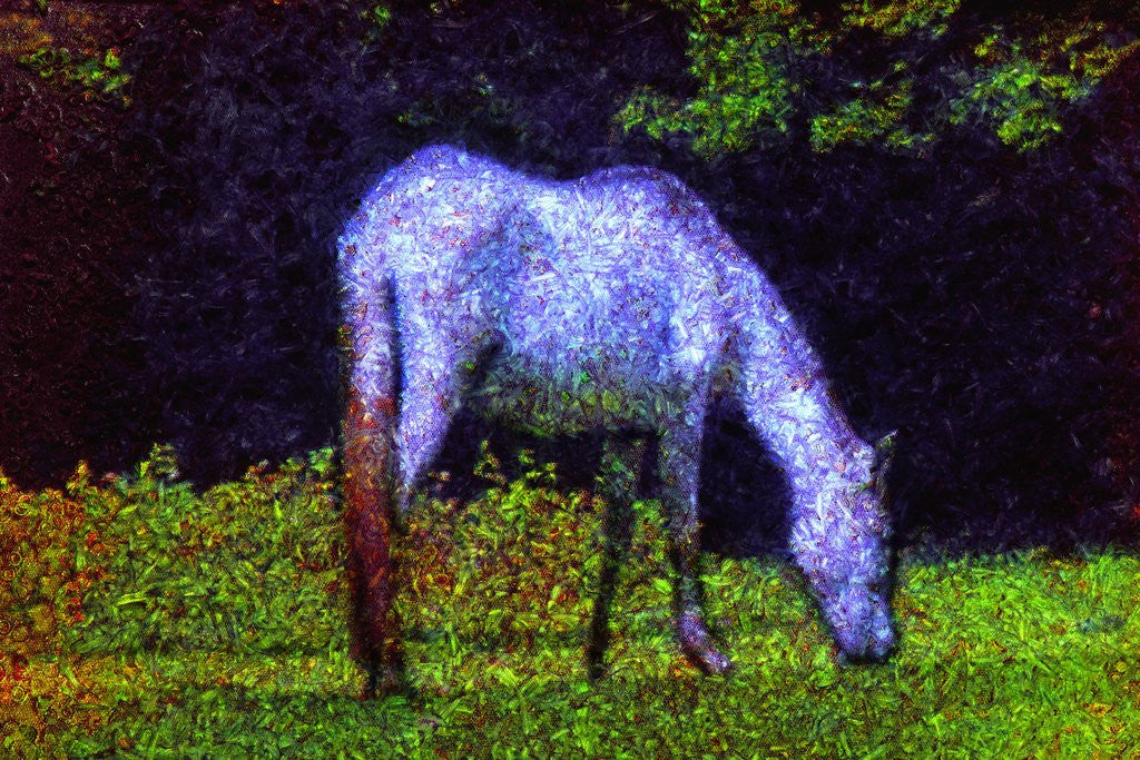 Detail of White Horse by Anonymous