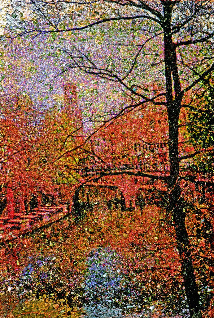 Detail of Tree and Canal by Anonymous