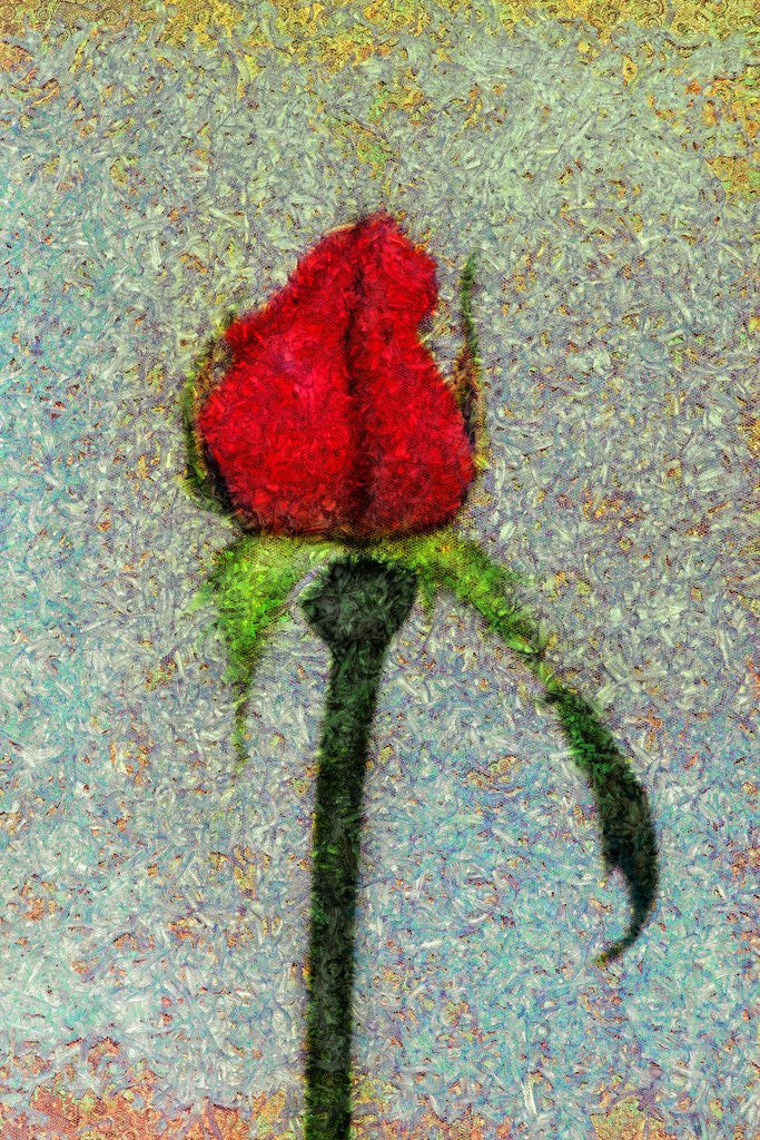 Detail of Rosebud by Anonymous