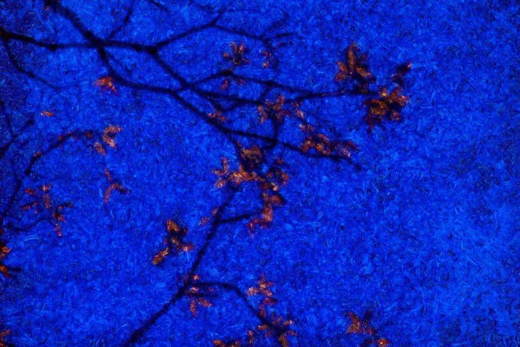 Detail of Tree and Sky by Anonymous