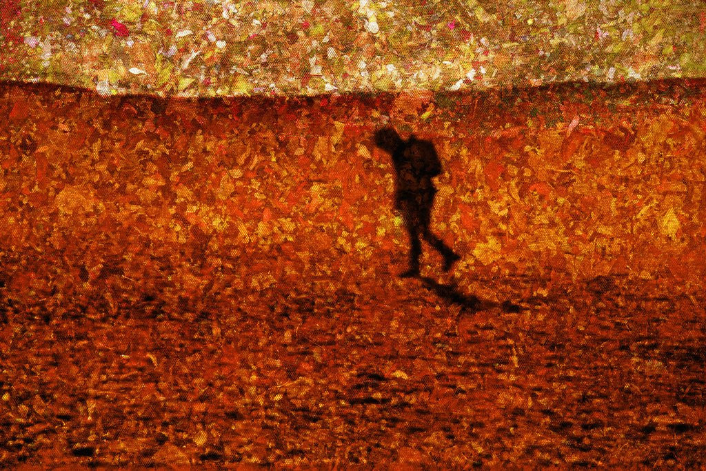 Detail of Lost by Anonymous