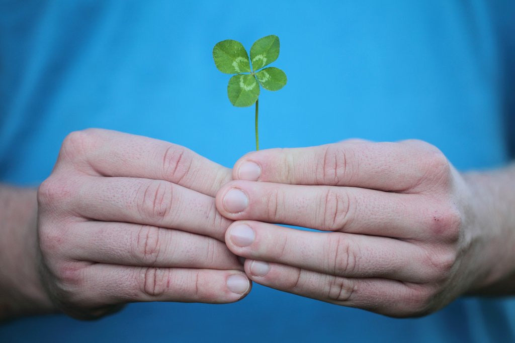 Detail of Man holding four-leaf clover by Anonymous